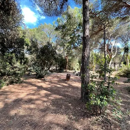 Σπίτι διακοπών Emma Melendugno