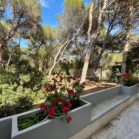 Emma メレンドゥーニョ