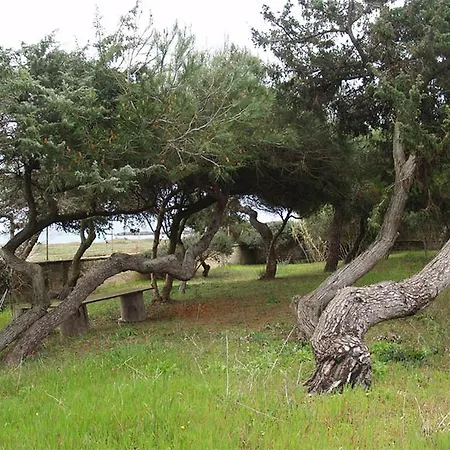 Emma メレンドゥーニョ