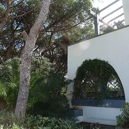 Emma * メレンドゥーニョ