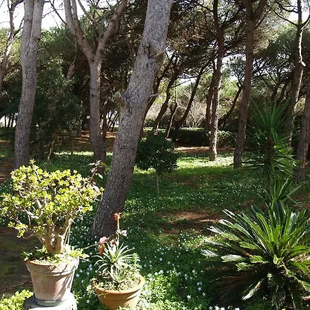 Emma メレンドゥーニョ