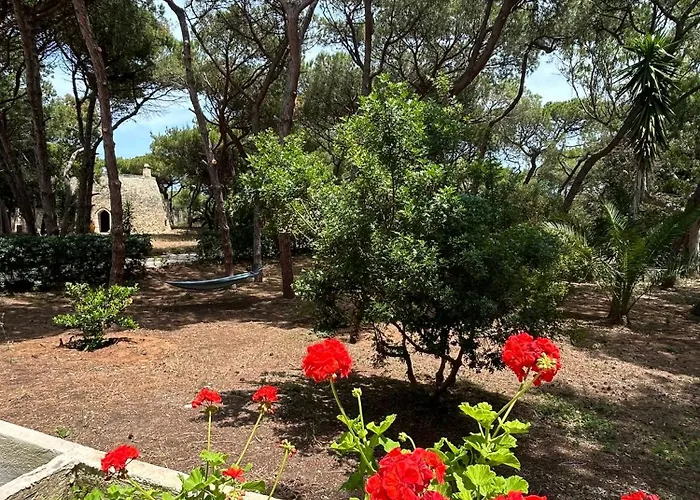 Emma Prázdninový dům